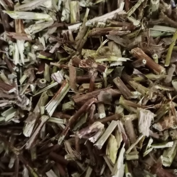 忍冬藤量大优惠中药材批发忍冬藤