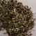 忍冬藤量大优惠中药材批发忍冬藤