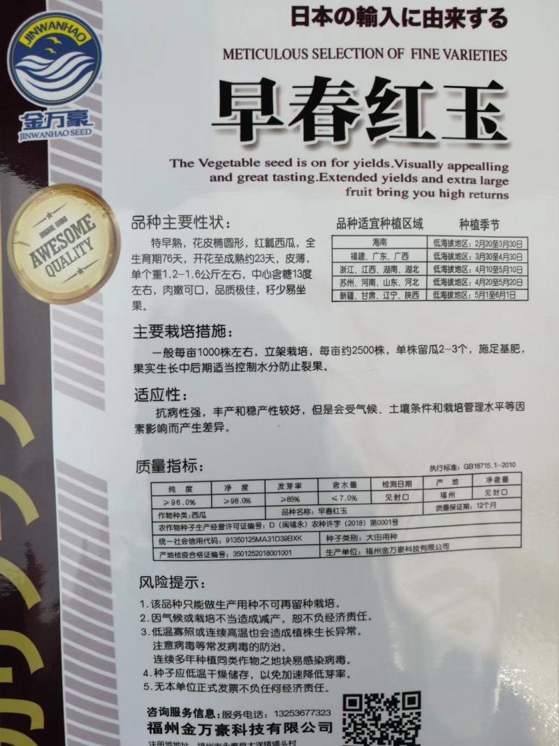 【礼品瓜】日本早春红玉小型西瓜种子口感好甜度高薄皮