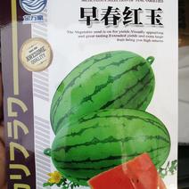 【礼品瓜】日本早春红玉小型西瓜种子口感好甜度高薄皮