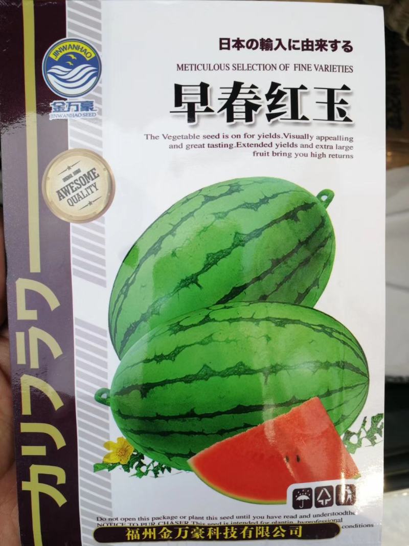 【礼品瓜】日本早春红玉小型西瓜种子口感好甜度高薄皮