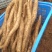 大量批发商品山药自己种植的白玉山药淮山药