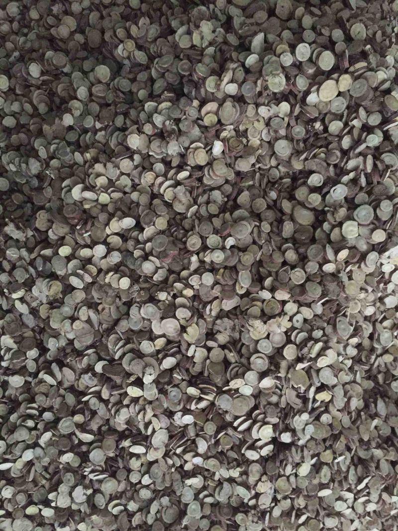 红皮甘草（含量达标）
