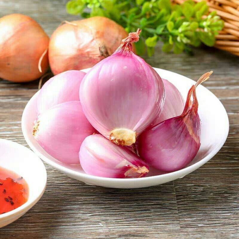 【一件代发】红葱头香葱头珠葱毛葱