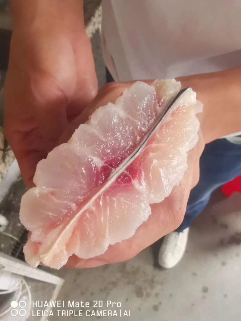 源晟泰品牌精修足8成带皮巴沙鱼柳