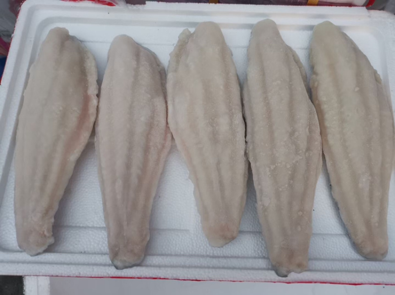 源晟泰品牌精修足8成带皮巴沙鱼柳