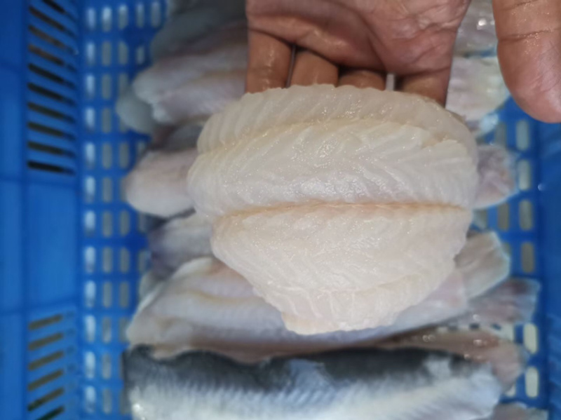 源晟泰品牌精修足8成带皮巴沙鱼柳