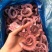 【口感爽脆】海芝鲜中号脆口章鱼足章鱼须