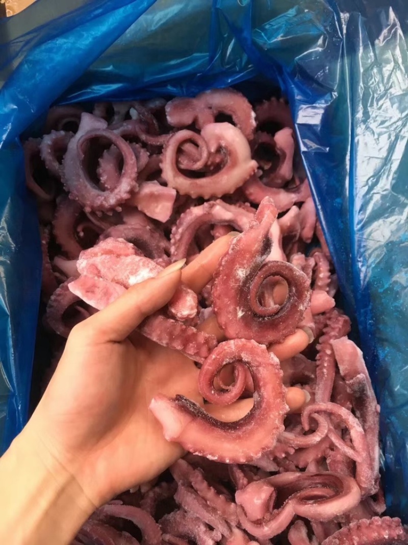 【口感爽脆】海芝鲜中号脆口章鱼足章鱼须