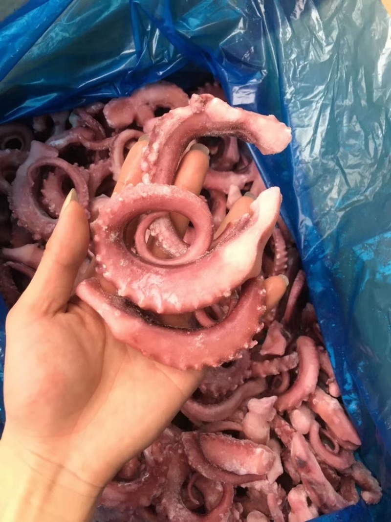 【口感爽脆】海芝鲜中号脆口章鱼足章鱼须