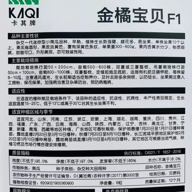 【金橘宝贝迷你小南瓜种子】可观赏可食用的黄色南瓜种子甜面