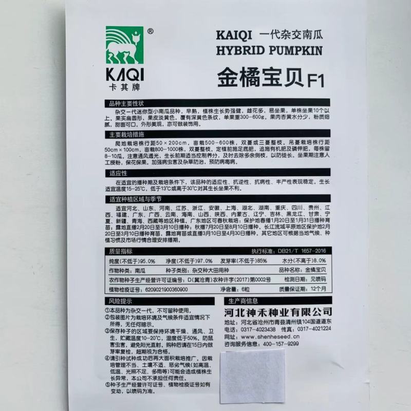 【金橘宝贝迷你小南瓜种子】可观赏可食用的黄色南瓜种子甜面
