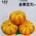 【金橘宝贝迷你小南瓜种子】可观赏可食用的黄色南瓜种子甜面