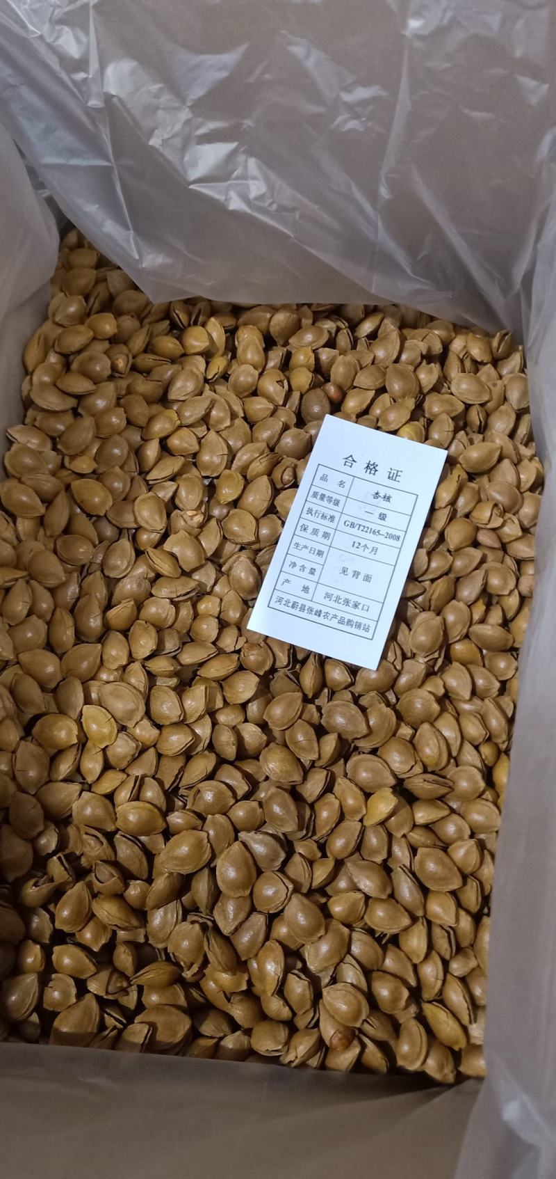 批发开口杏核，生熟杏仁