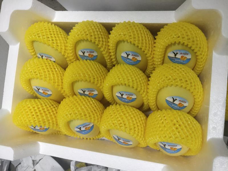 【高碑店新发地-乐航商贸】越南高乐蜜芒果（打盒）