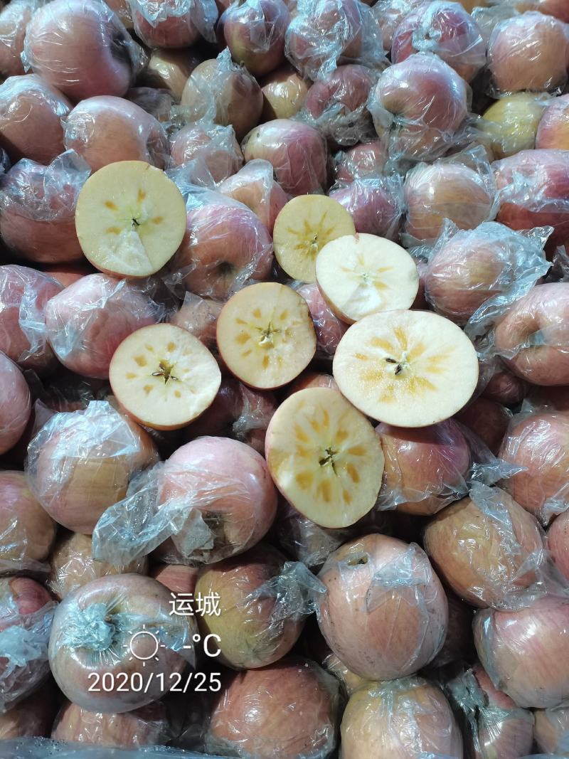 冰糖心膜袋红富士苹果脆甜多汁按需分拣打包设备齐全备货快运费低