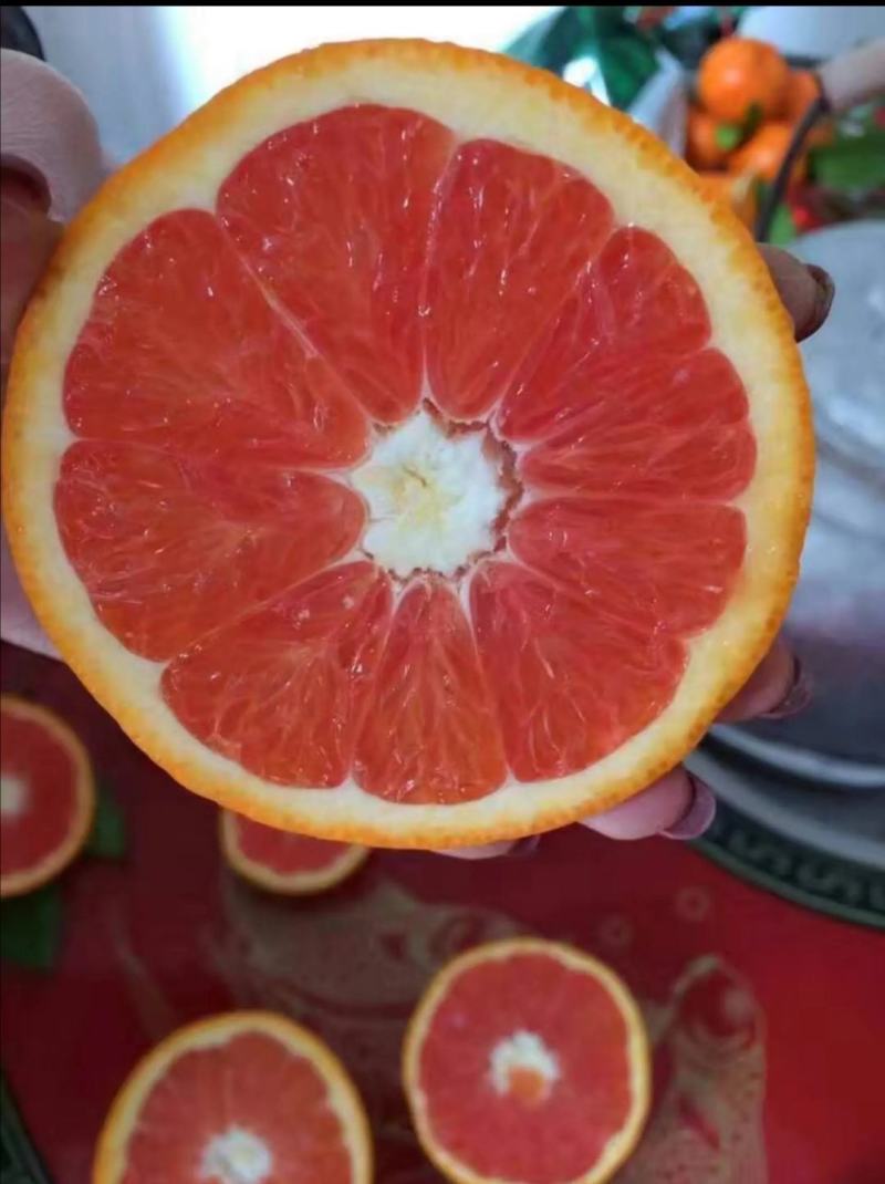 湖北秭归中华红橙/红肉橙/口感甜果肉细腻产地直销/诚信经