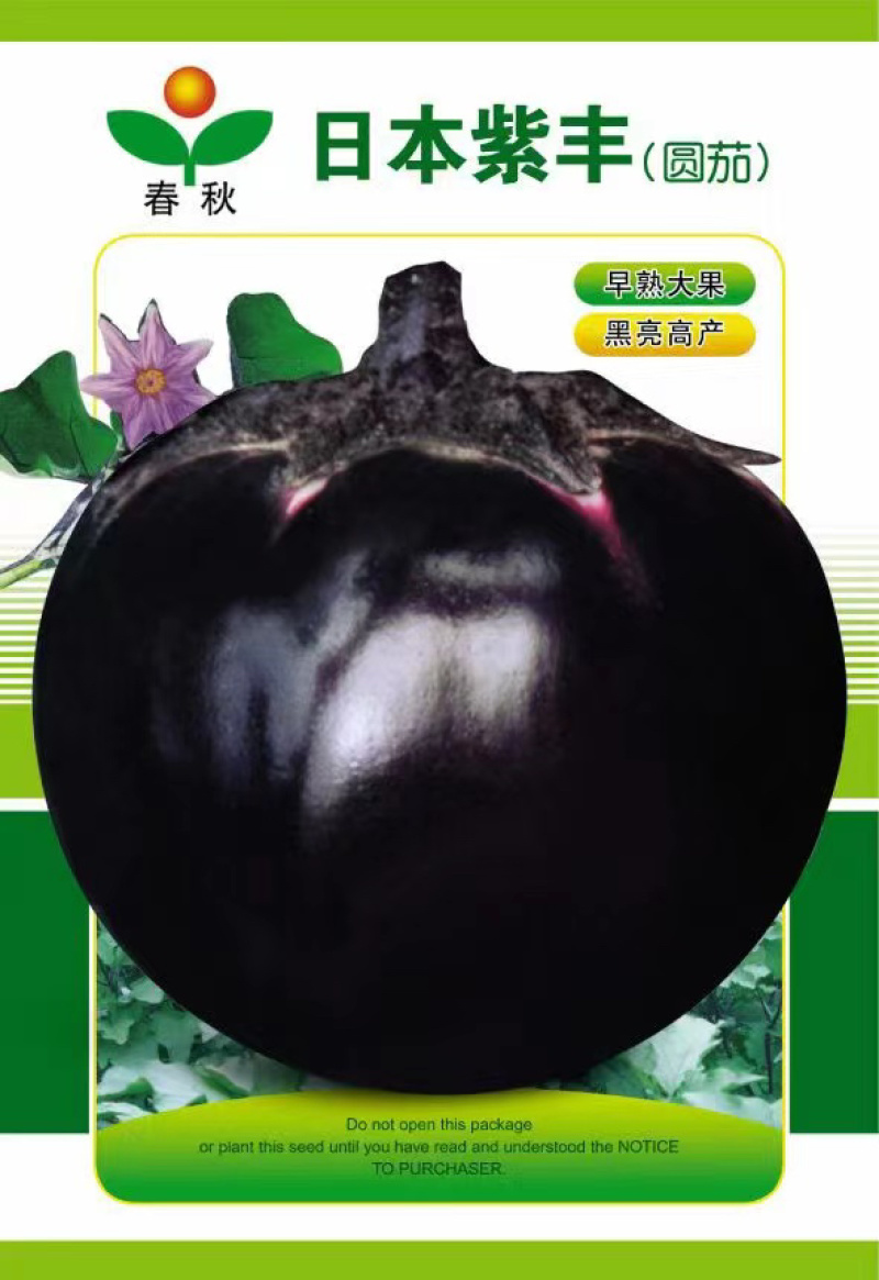 【精品】江苏种子圆茄种子日本紫圆茄紫圆大果高产