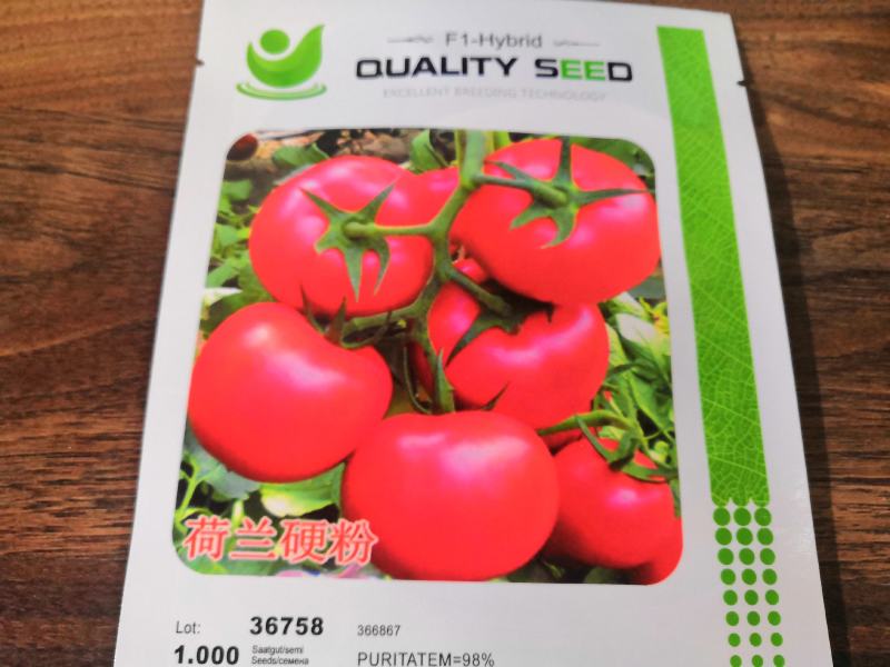 荷兰硬粉越冬早春品种大果西红柿种子