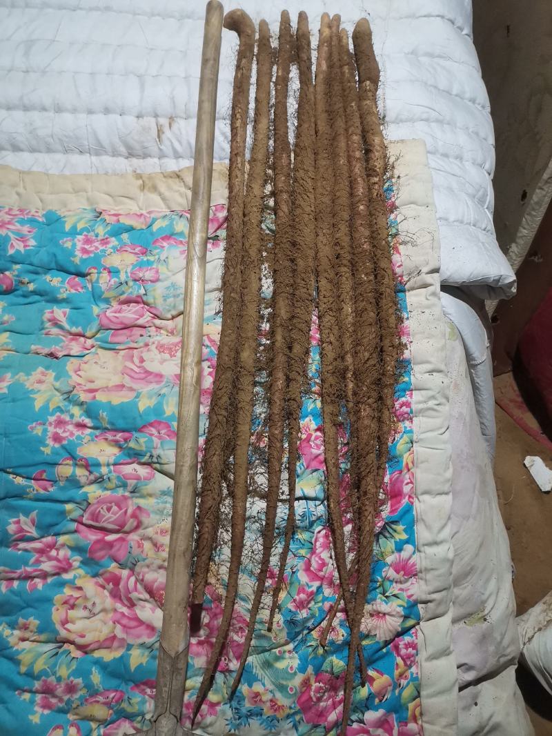 铁棍山药，一级铁棍，二级铁棍