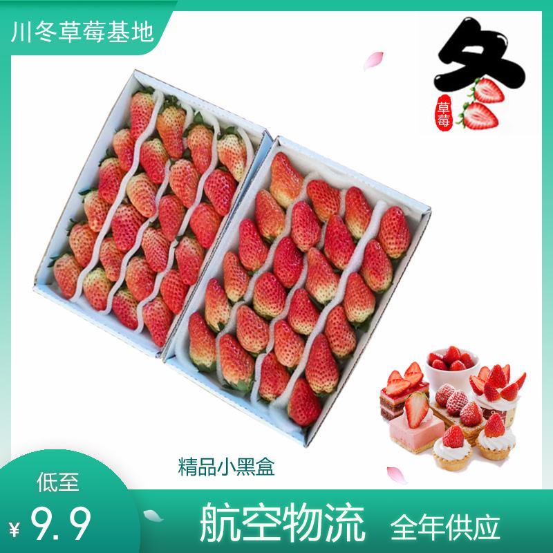 冬草莓盒装双流冬草莓烘培茶饮航空物流包邮