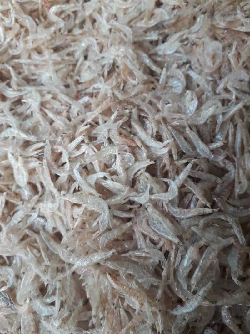 【优选直供】天然大虾皮，自然晒干