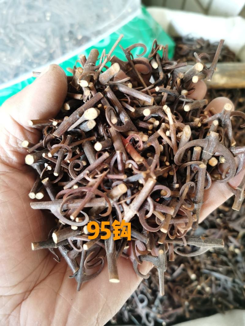 钩藤双钩蒸过的标准货药厂标准货大货供应