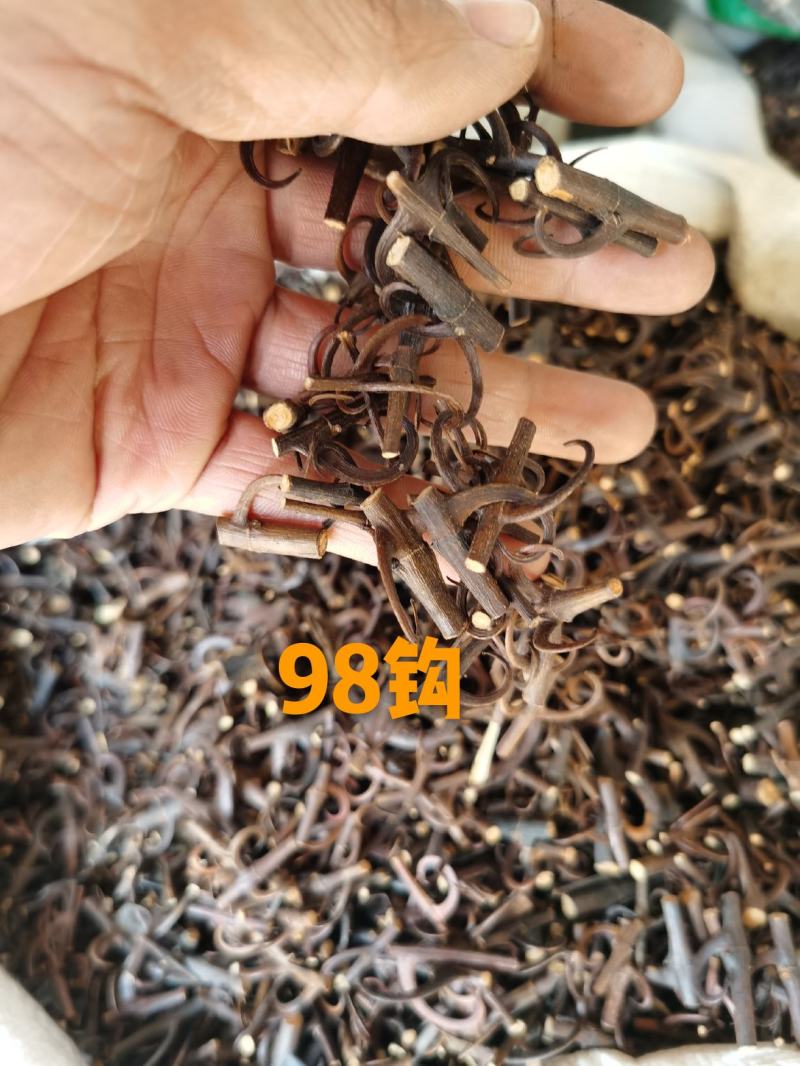 钩藤双钩蒸过的标准货药厂标准货大货供应