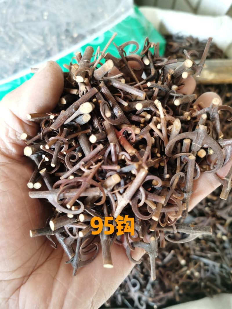 钩藤双钩蒸过的标准货药厂标准货大货供应