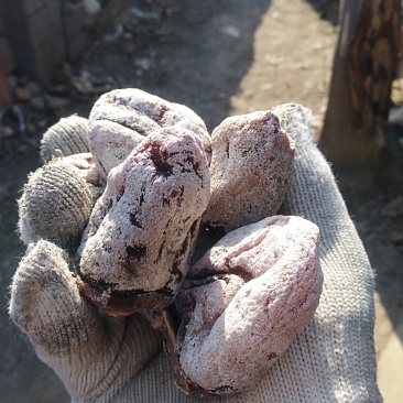 沂蒙农家老树优质牛心柿降霜柿饼，软糯糖度高