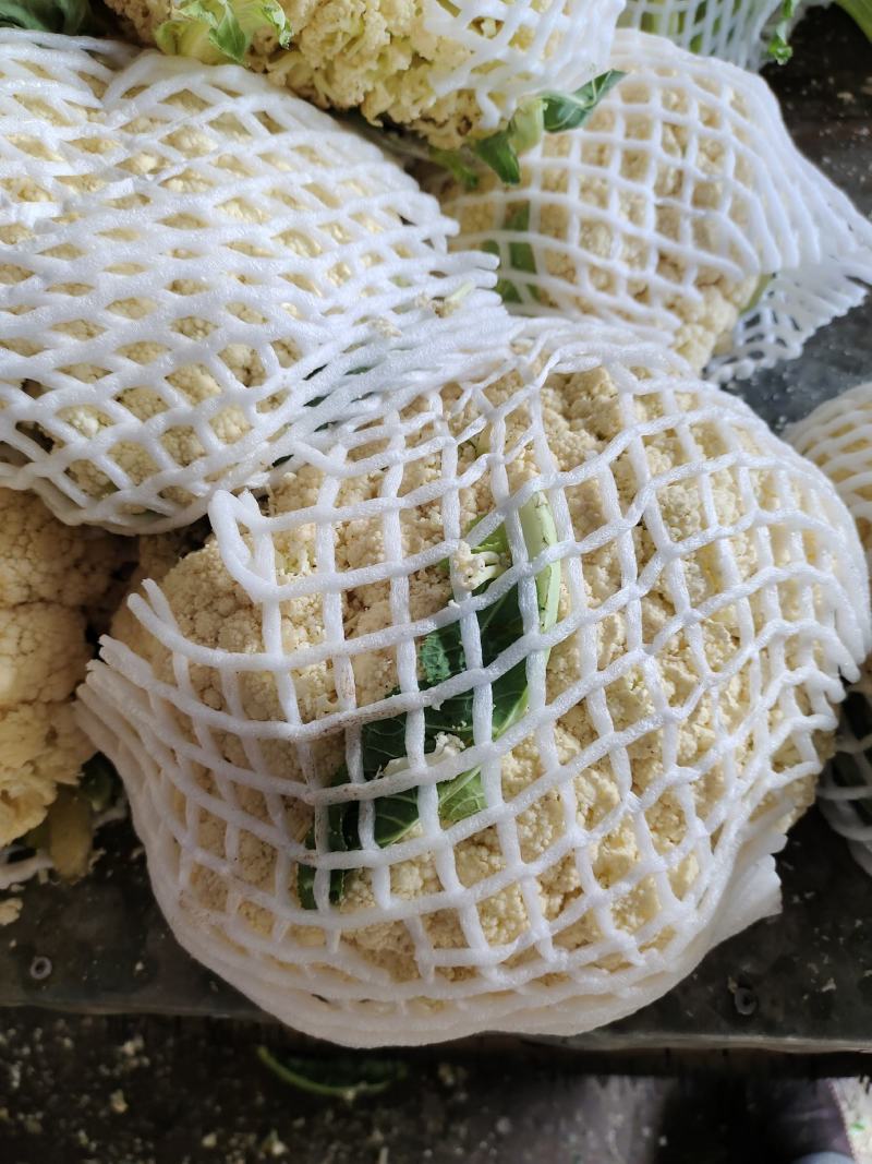 精品小米粒散花冷库货