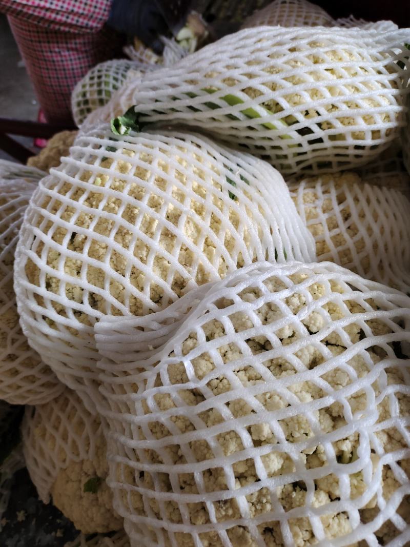 精品小米粒散花冷库货