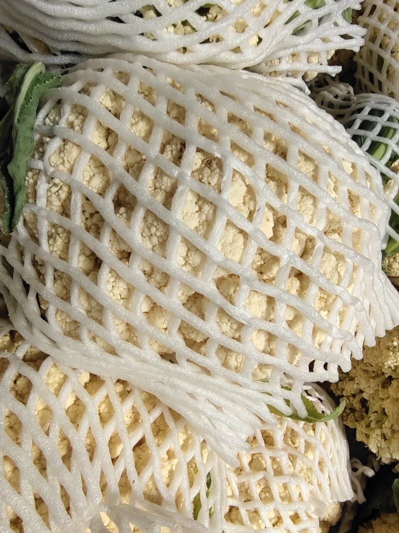 精品小米粒散花冷库货