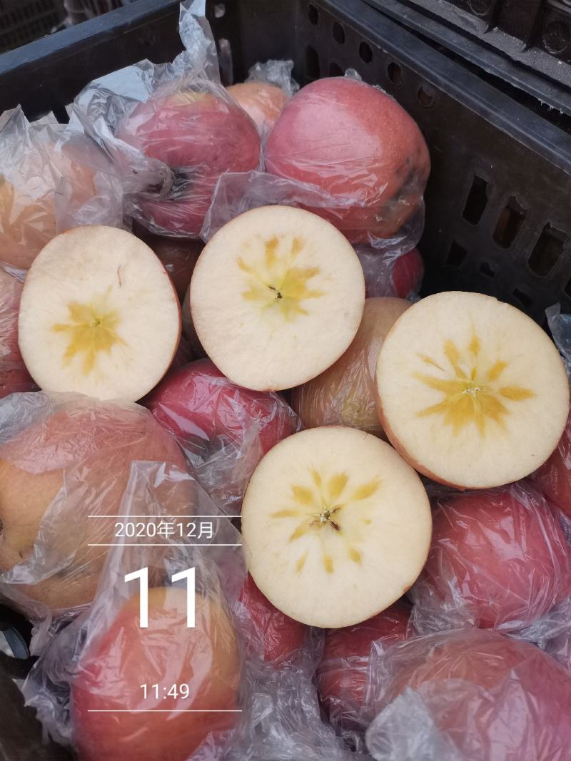 山西运城冰糖心膜袋红富士苹果口感脆甜多汁