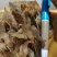 河虾，小河虾一手货源，每天有货，大量有货批发零售