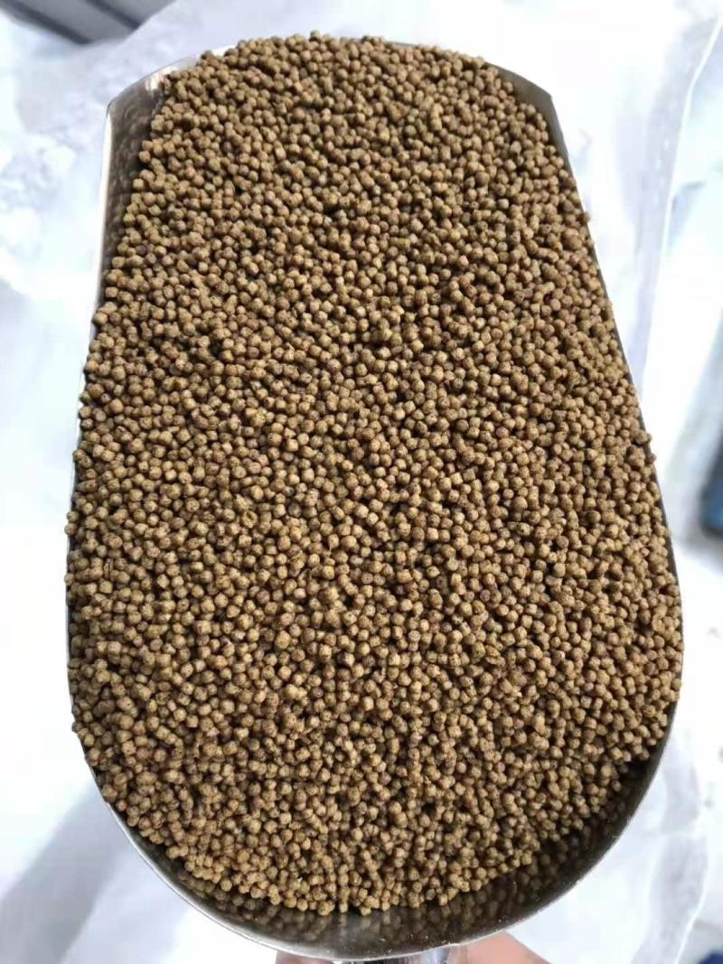 泥鳅饲料通威鱼苗宝改名鱼种倍健一包50斤包邮