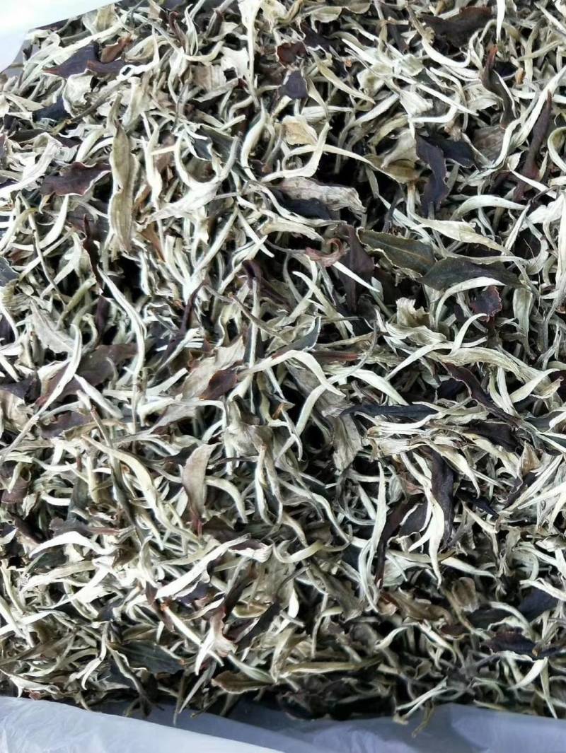 云南大白茶，清甜有回甘