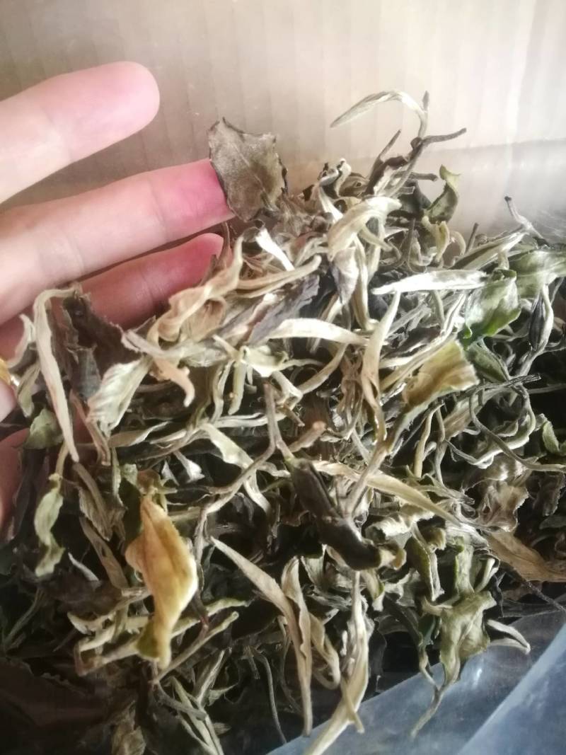 云南大白茶，清甜有回甘