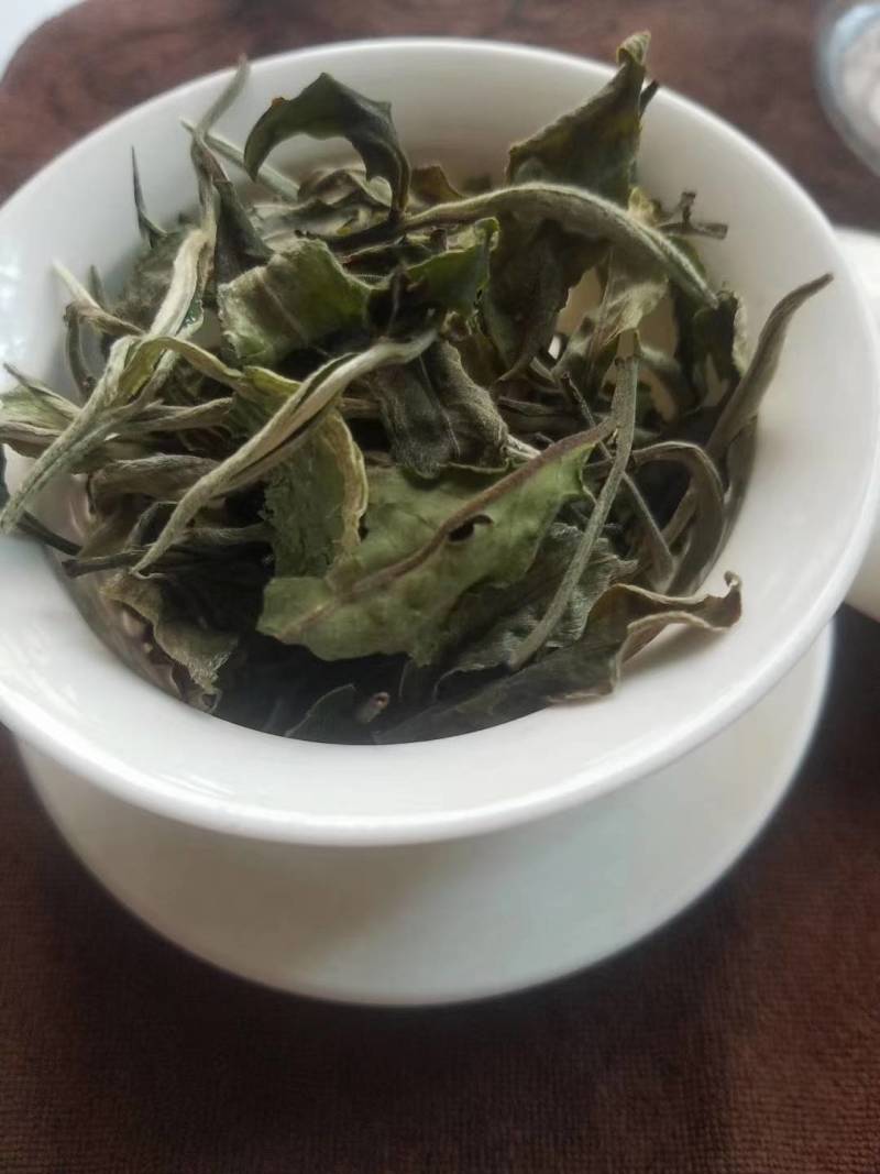 云南大白茶一百号白茶