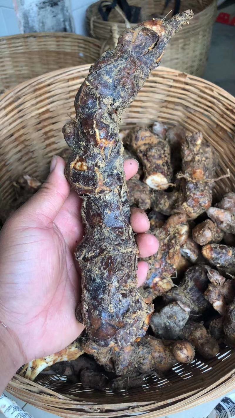 土茯苓原生土茯苓干片优质的货源没有任何添加剂