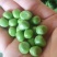 河南新鲜豌豆荚，长寿仁，大量现货供应中！