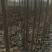 两公分至三公分3.5三公分至四公分半5.0