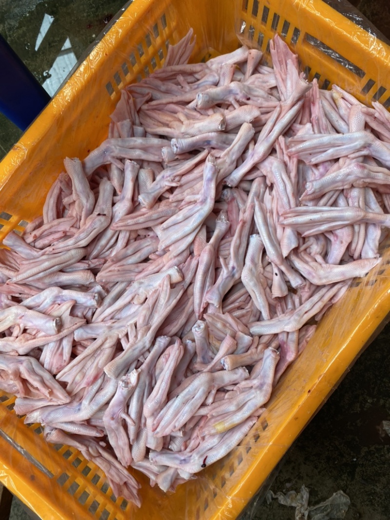 鸭掌，标件新鲜鸭掌，标件冷冻鸭掌………………