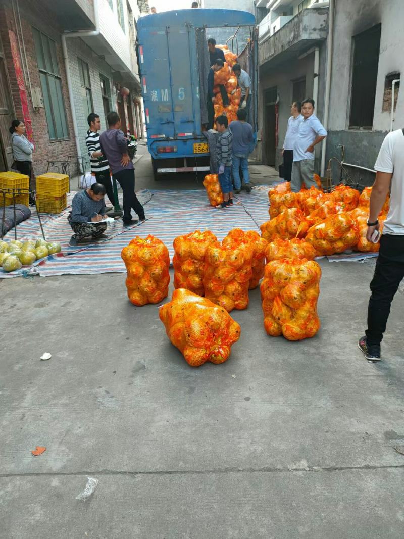江永粗石江沙田柚#富发果业产地代办点，特点皮薄多汁含糖高