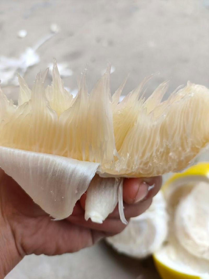 江永粗石江沙田柚#富发果业产地代办点，特点皮薄多汁含糖高
