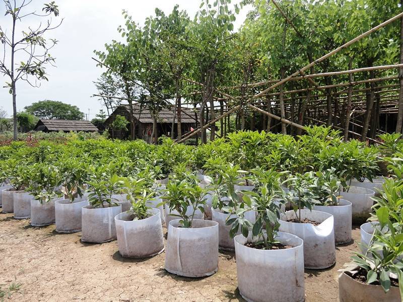 植树袋，厂家直销量大从优郑州发货，质量优加可循环使用