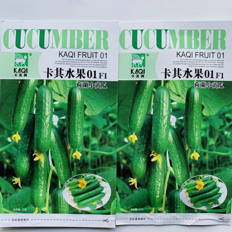 荷兰小黄瓜种子,全雌系无刺清香脆甜水果黄瓜种子大面积种植