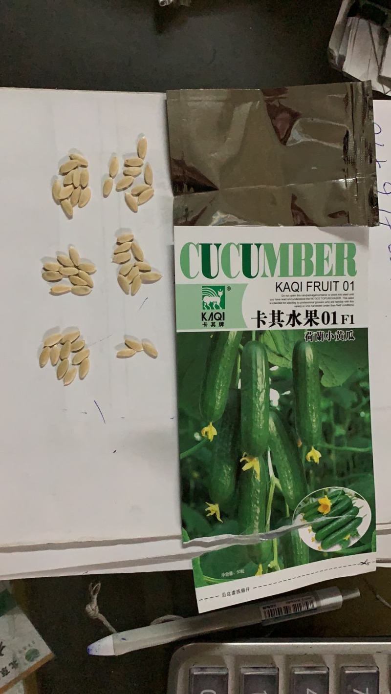 荷兰小黄瓜种子,全雌系无刺清香脆甜水果黄瓜种子大面积种植