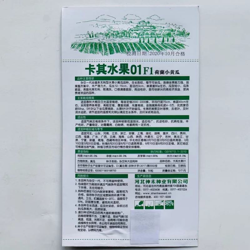 荷兰小黄瓜种子,全雌系无刺清香脆甜水果黄瓜种子大面积种植