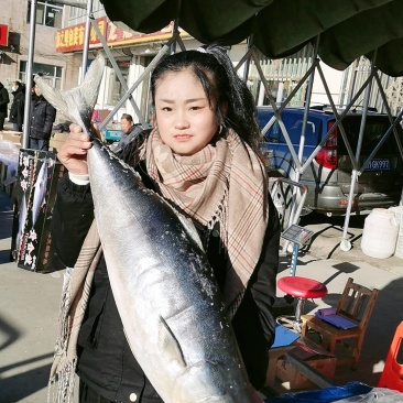 黄金鲅鱼，深海鱼，（冻货）一条12斤到20斤左右